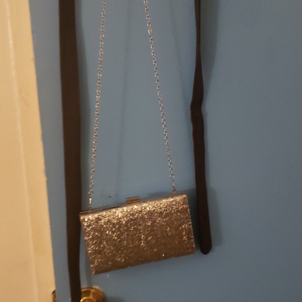 Silver purse
